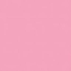 Meet your Posher, Jenn